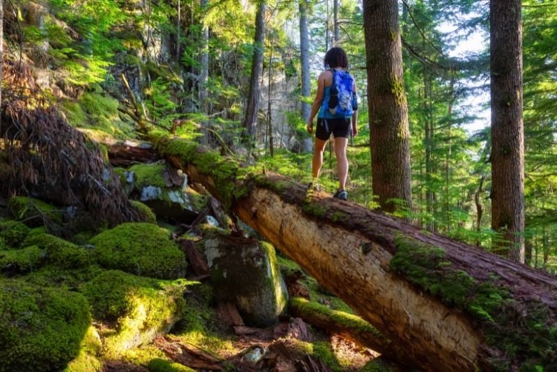 10 Tips for Safe Summer Hiking in Vancouver - Inside Vancouver BlogInside  Vancouver Blog