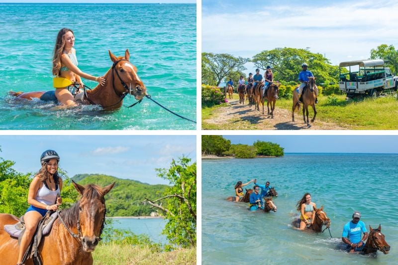 horse riding, Jamaica