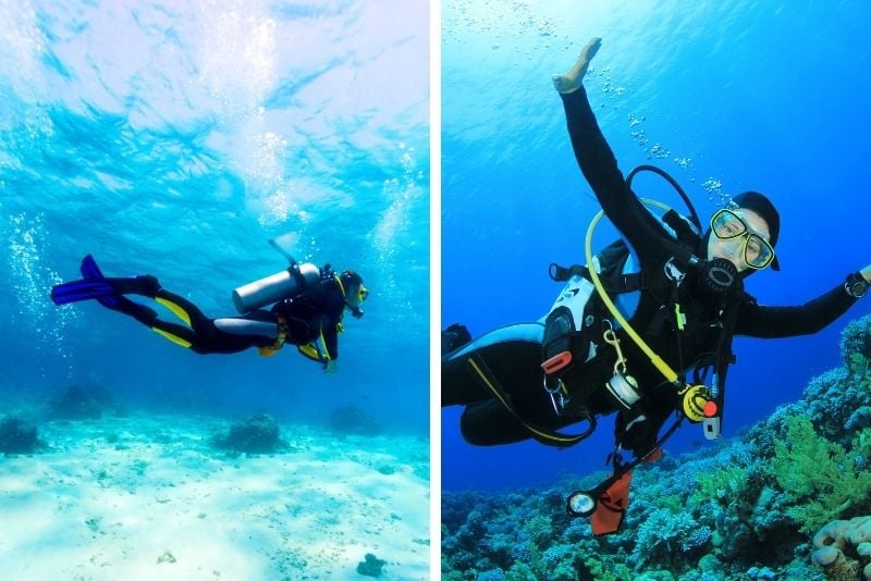 scuba diving in The Bahamas