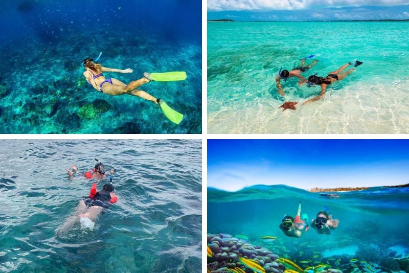 snorkeling tours in Jamaica