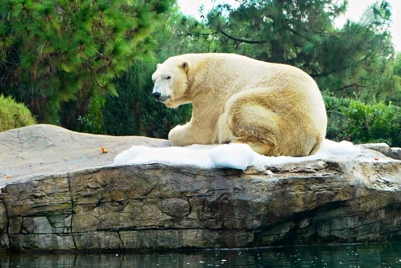 Alaska Zoo in Anchorage