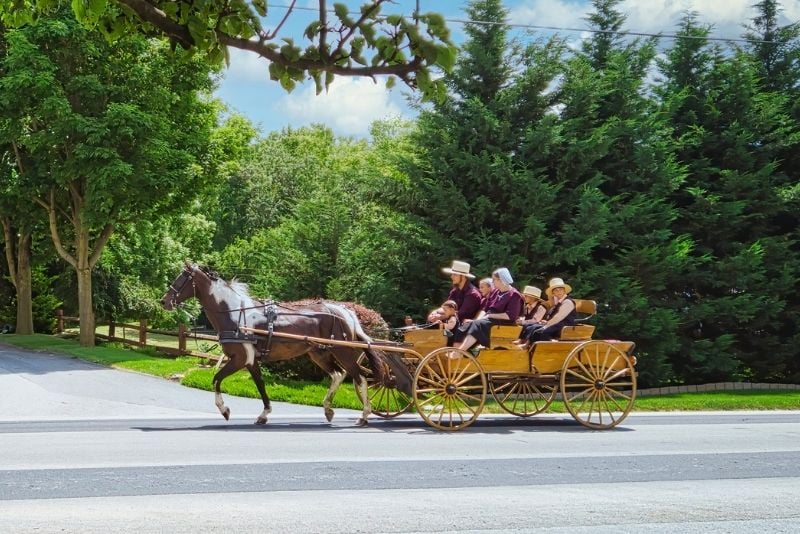 Amish experience, Sarasota