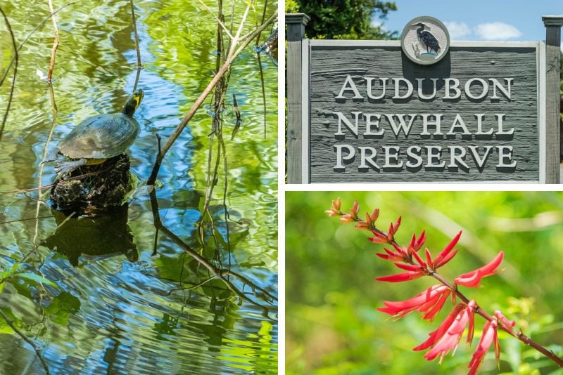 Audubon Newhall Preserve in Hilton Head Island