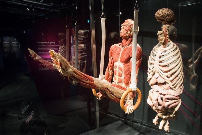 Body Worlds, Berlin