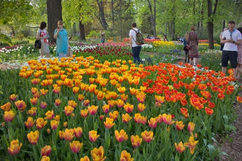 clear safari autofill iphone Botanic Gardens of Moscow State University, Moscow