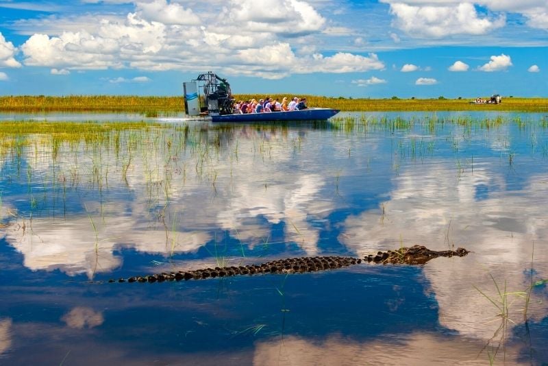 Everglades tour from Kissimmee
