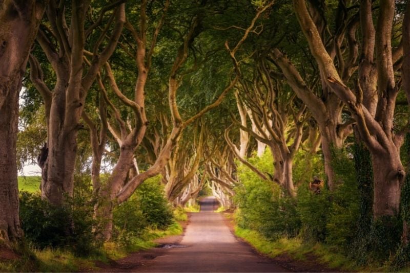 Game of Thrones filming locations in Dublin