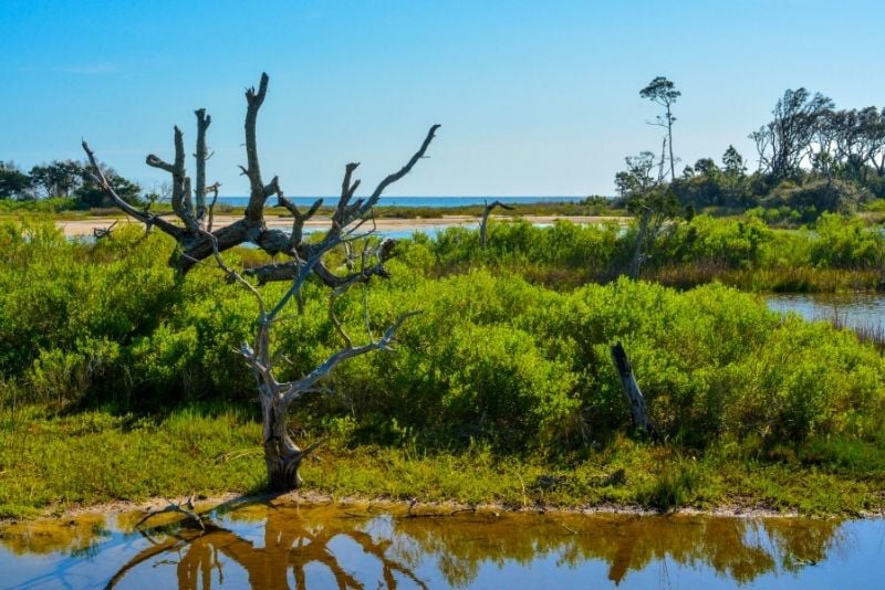 Little and Big Talbot Island State Parks, Jacksonville