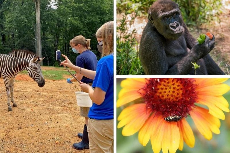 North Carolina Zoo