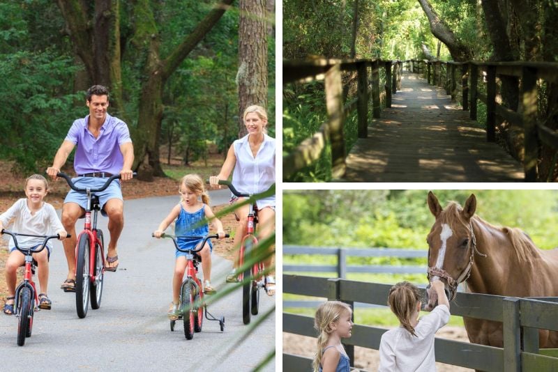 Sea Pines Forest Preserve in Hilton Head Island