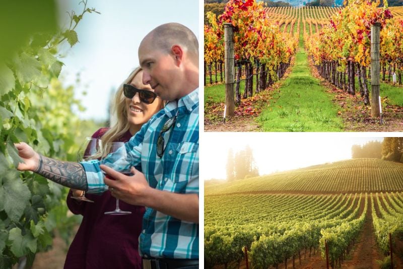 Sonoma Valley day trips