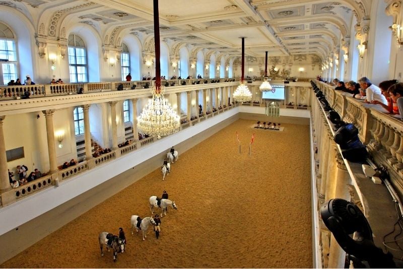 École d'équitation espagnole, Vienne