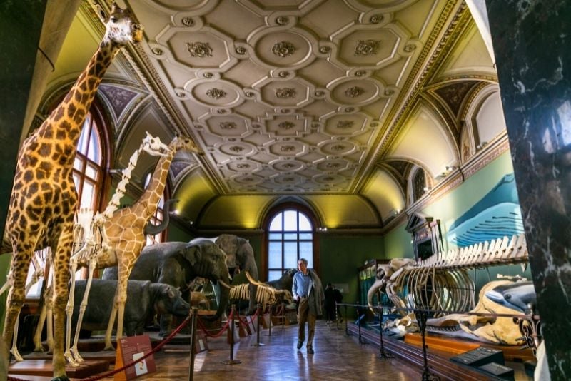 Museo di Storia Naturale di Vienna