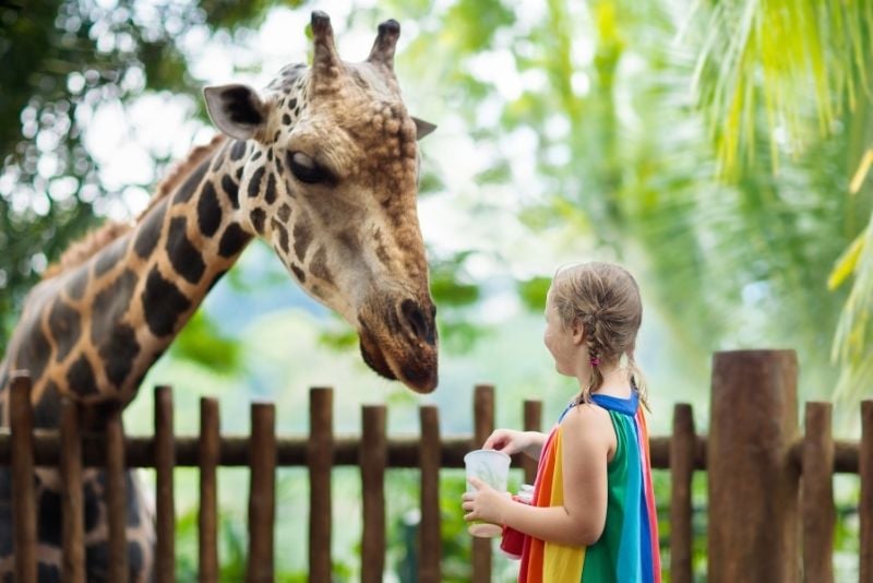 Zoo Warschau, Polen