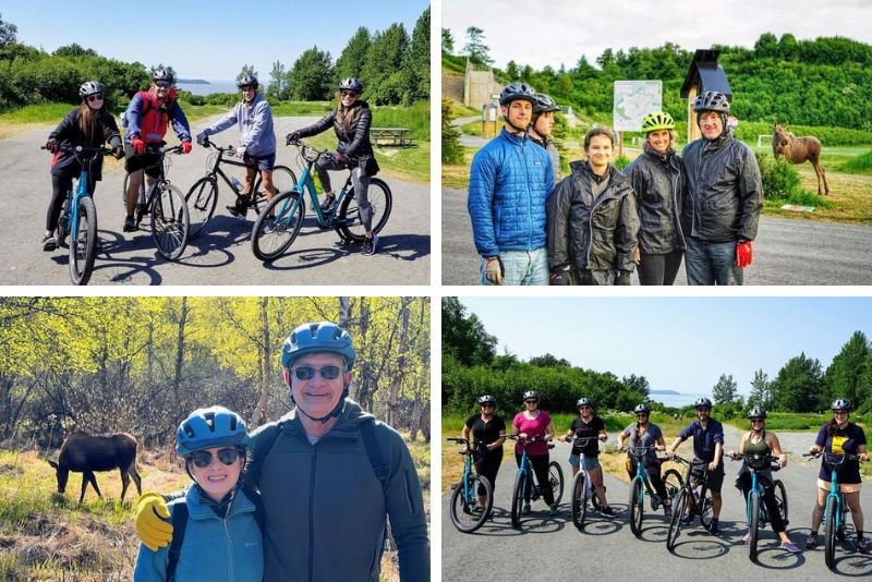 bike tours in Anchorage