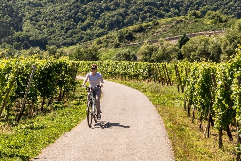 bike tours in Napa Valley