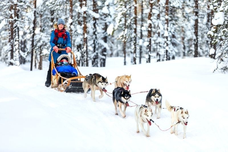 dog sledding in Montreal