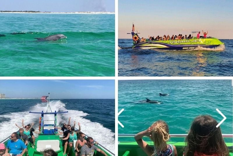 dolphin watching in Destin