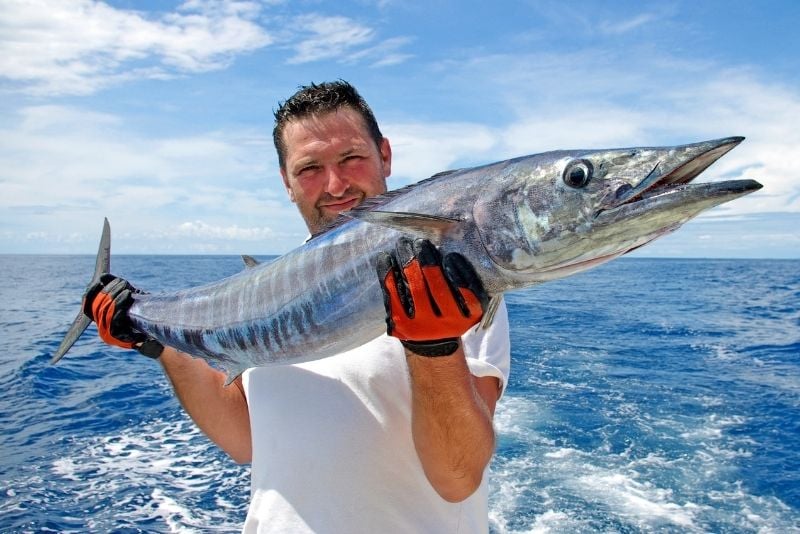 fishing in Turks and Caicos