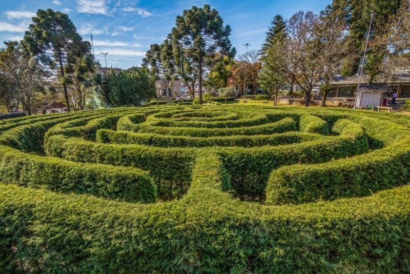 hedge maze in Dublin