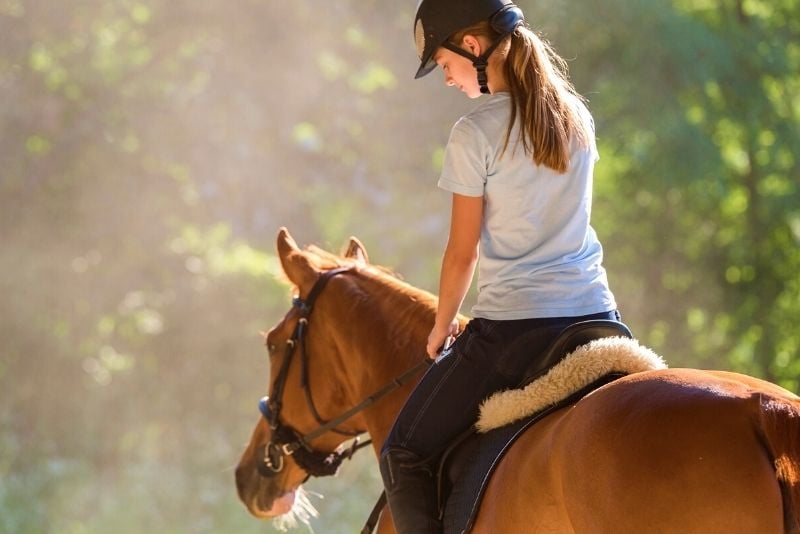 Reiten in Dublin