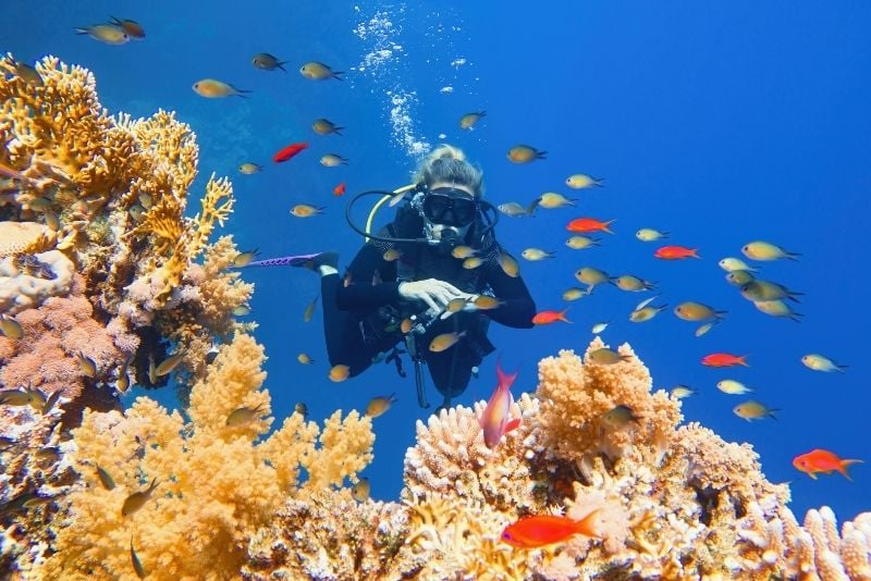 plongée sous-marine à Hurghada