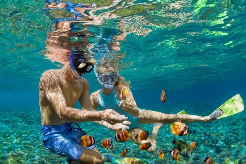 snorkeling in Aruba