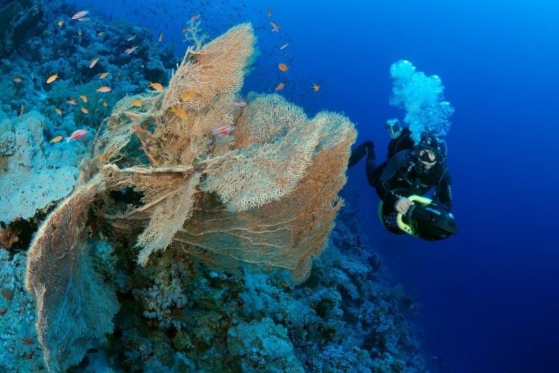 underwater scooter in Aruba