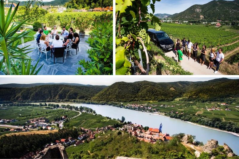 wine tasting tours from Vienna