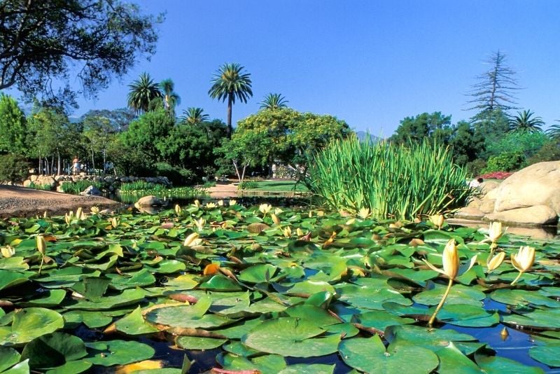 Alice Keck Park Memorial Gardens, Santa Barbara