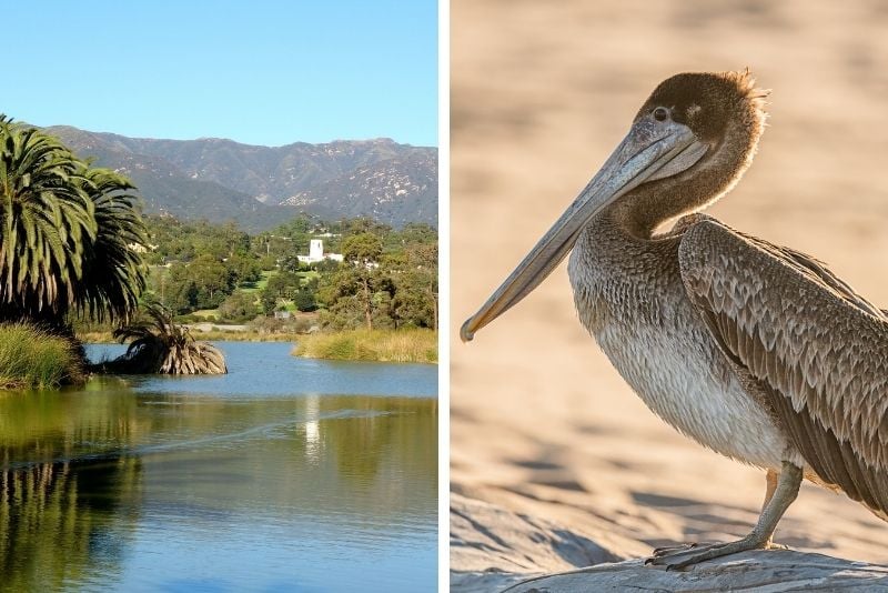 Andree Clark Bird Refuge