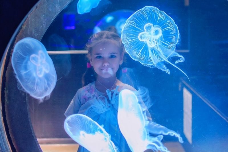 Aquarium of Lyon