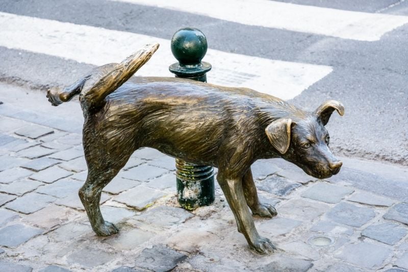 Het Zinneke sculpture, Brussels