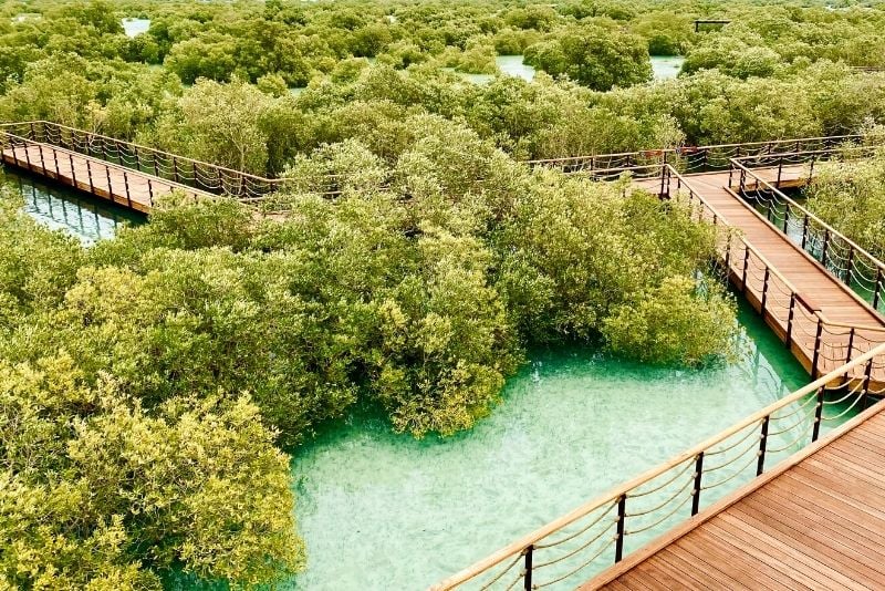 Passeggiata delle mangrovie di Jubail, Abu Dhabi