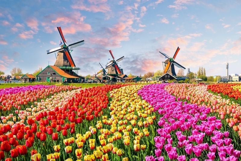 Excursions d'une journée à Keukenhof au départ de Bruxelles