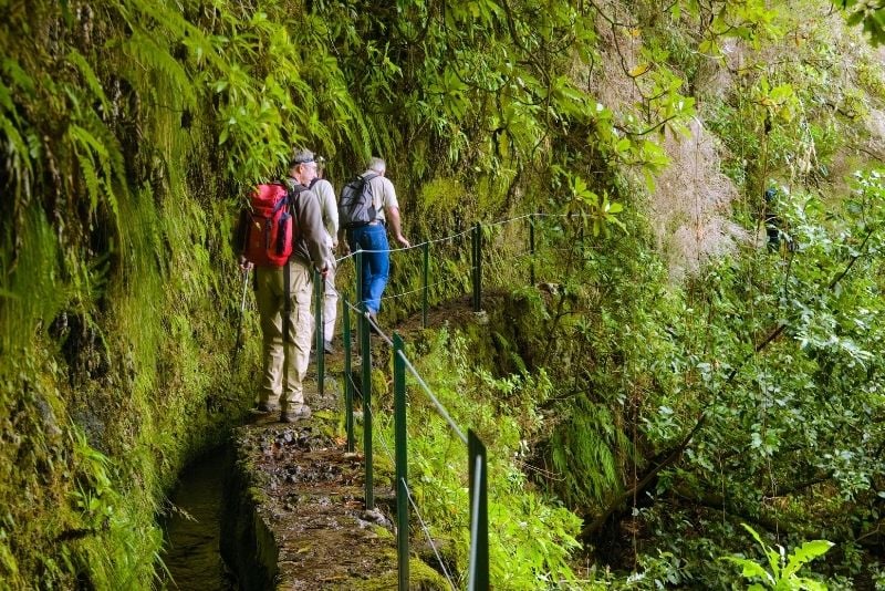 Levada do Caldeirão Verde, Madeira