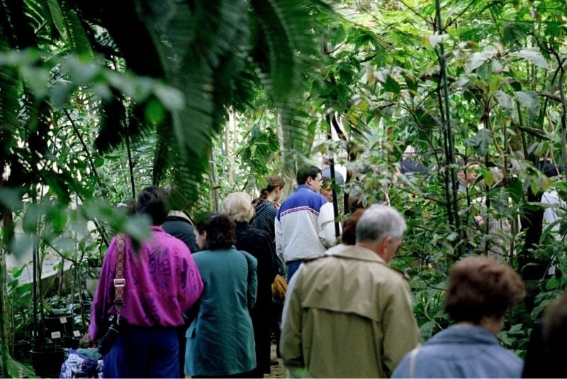 Botanischer Garten Meise, Brüssel