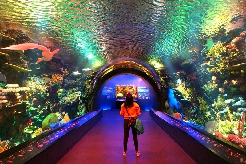 New York Aquarium, Brooklyn