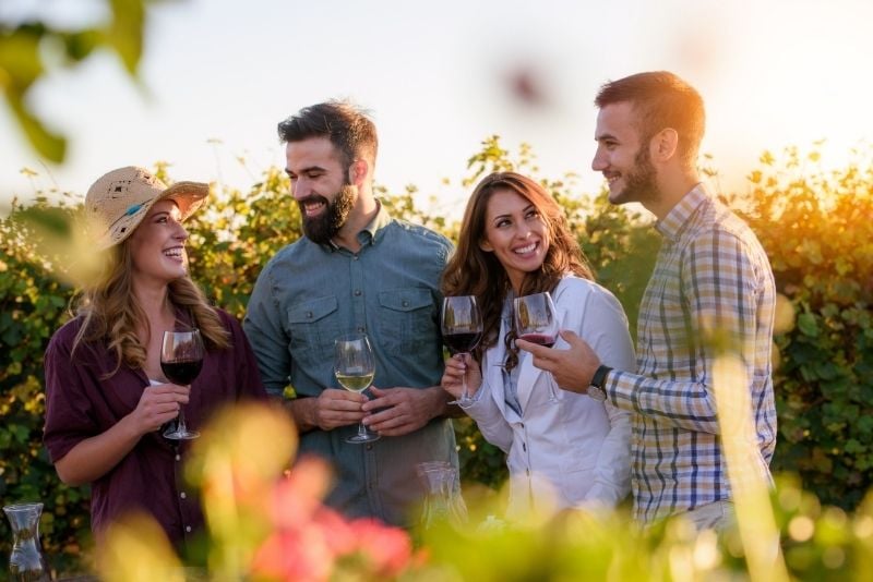 Tour del vino por el valle del Ródano