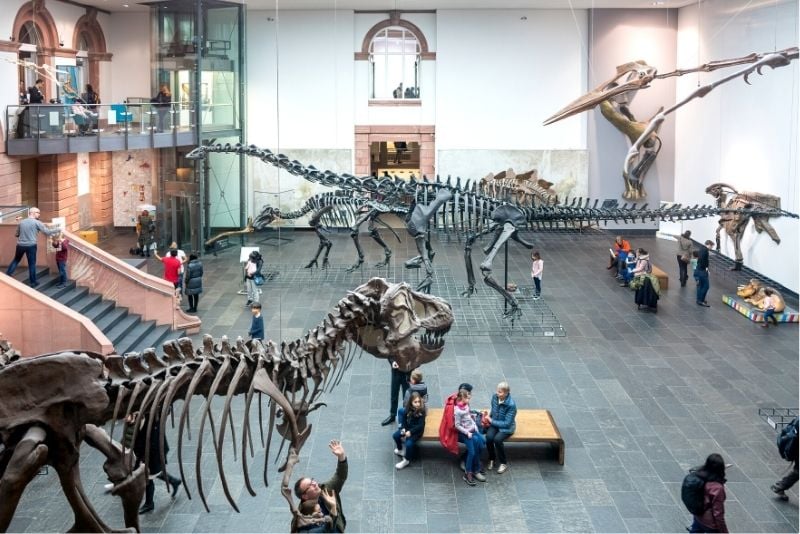 Naturkundemuseum Senckenberg, Frankfurt