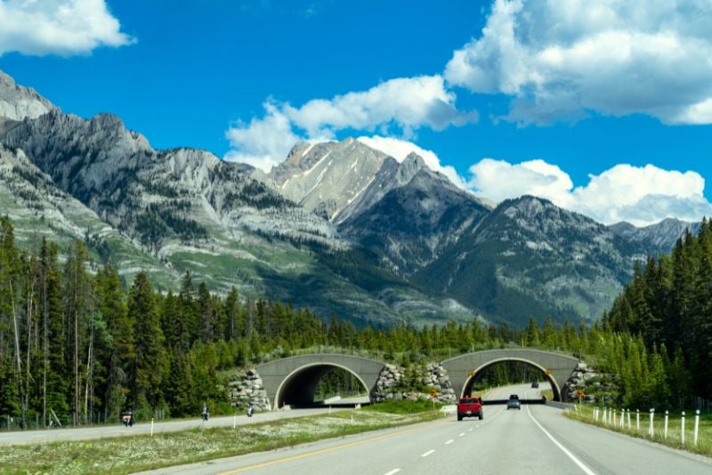 Tunnel Mountain Drive, Banff