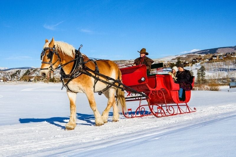horse-drawn sleigh in Banff