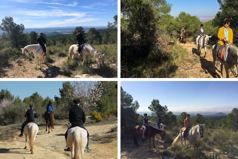 horse riding near Valencia