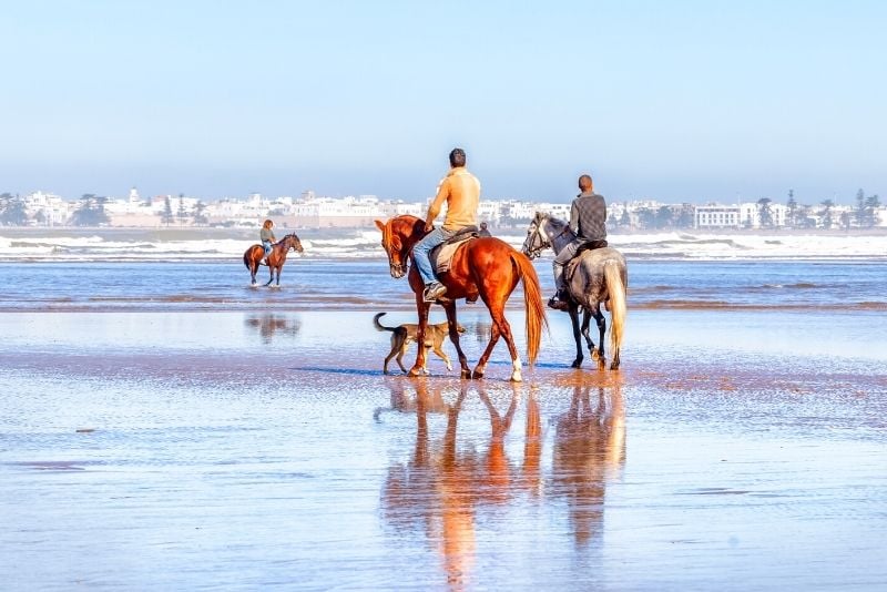 balade à cheval au départ de Marrakech