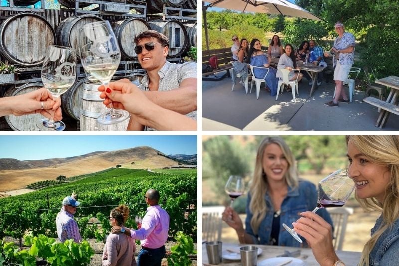 wine tours in Santa Barbara