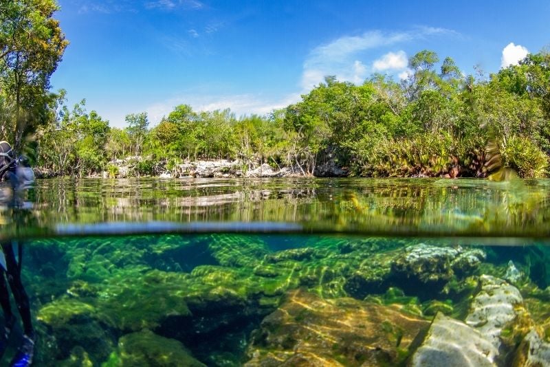 Jardín Del Eden Cenote, Riviera Maya