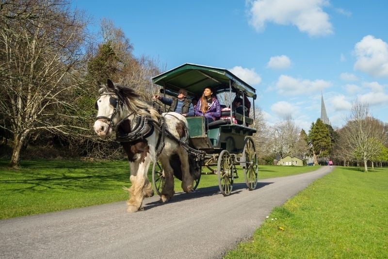 Jaunting Car tour in Killarney