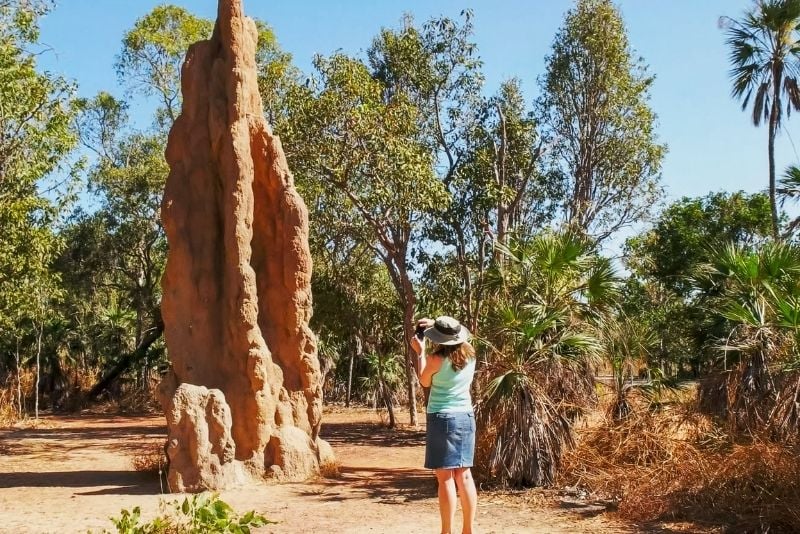 Magnetic Termite Mounds, Australia