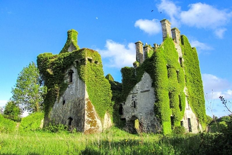 Menlo Castle, Galway