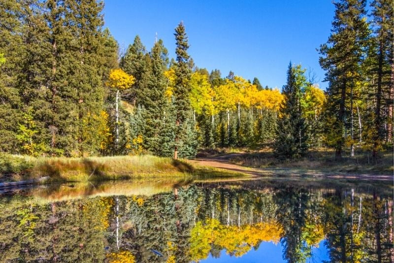 Mueller State Park, Colorado Springs